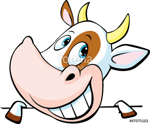 500x415 Funny Cow Peeks Out From Behind A White Surface