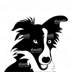 Vectors Dad Costume Hoodamath 300x300 Vectors Dad Costume Hoodamath