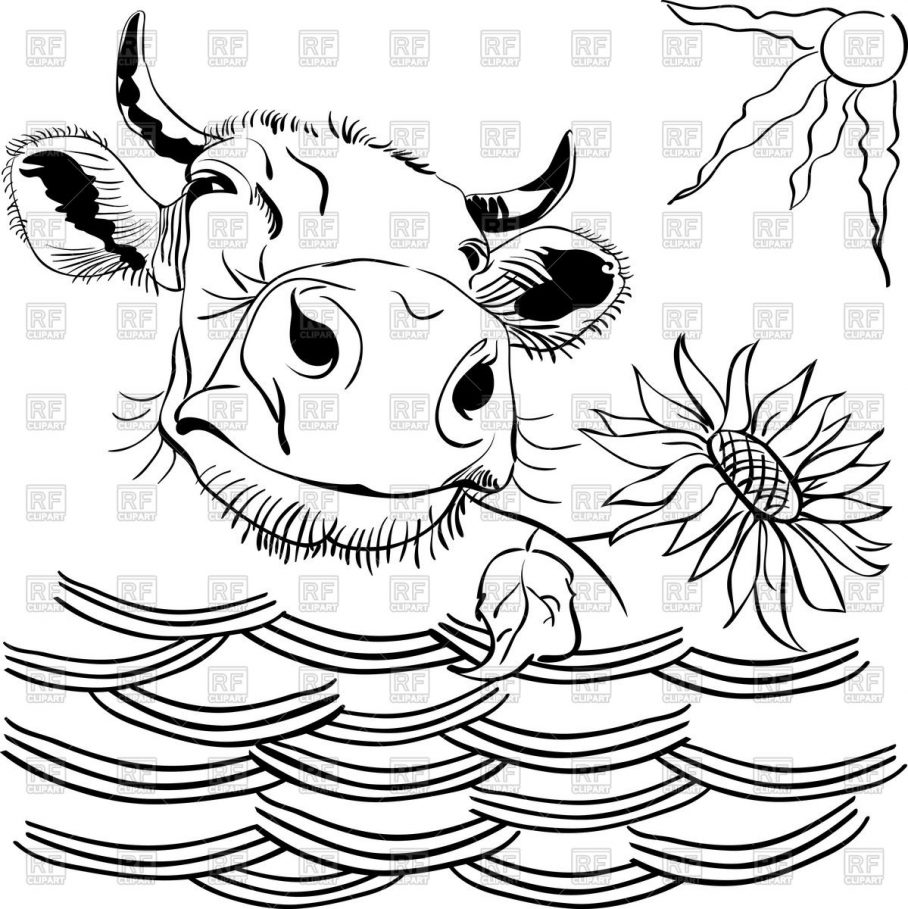 Cute Cow Drawing Easy Funny Vector Of A Aarzemnieki 908x909 Cute Cow Drawing Easy Funny Vector Of A Aarzemnieki