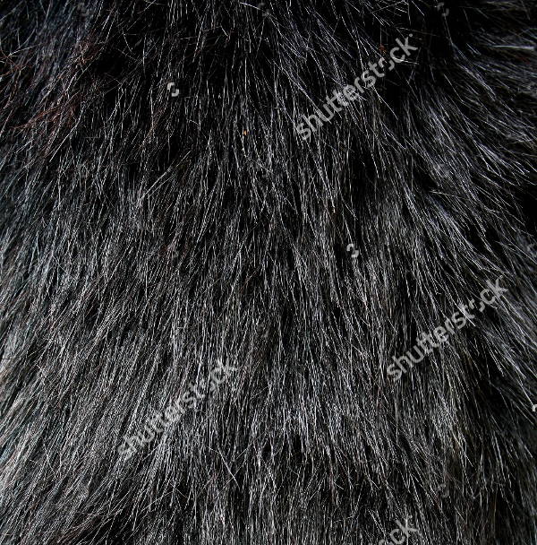 Fur Texture Vector