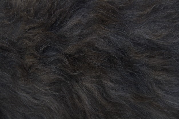 626x417 Fur Texture Vectors, Photos And Free Download