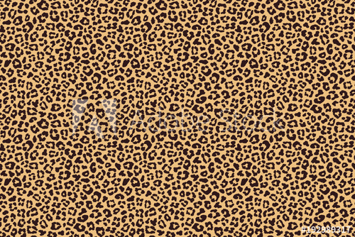 500x334 Leopard Beige Brown Fur Texture Vector