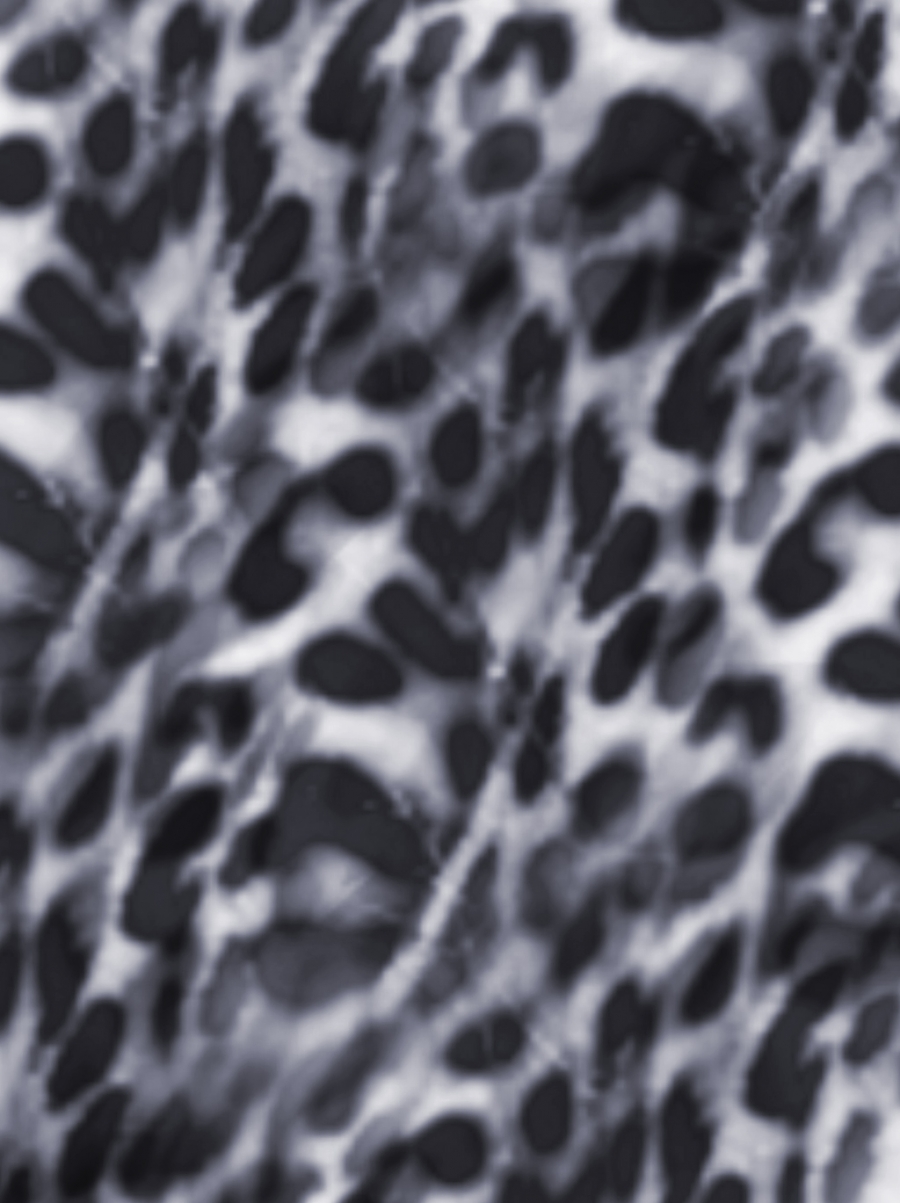 900x1203 Animal Fur Texture Seamless Pattern Vector Material, Animal, Fur