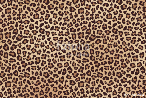 500x334 Leopard Spotted Beige Brown Fur Texture Vector Stock Image