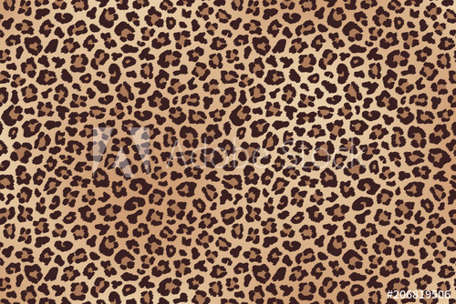500x334 Leopard Spotted Fur Texture Vector