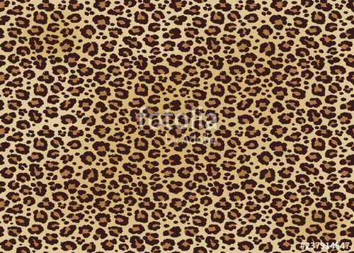 500x357 Leopard Spotted Fur Texture Vector Repeating Seamless Orange