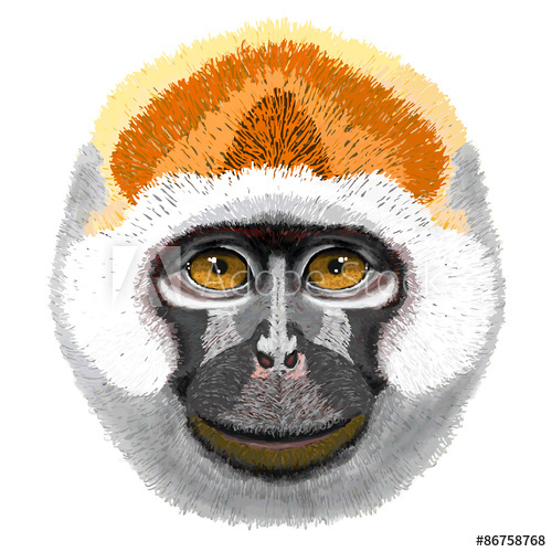 Funny Monkey Head With Smile On The Face And Fluffy Fur, Vector 500x500 Funny Monkey Head With Smile On The Face And Fluffy Fur, Vector