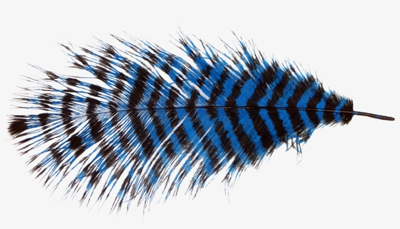 Fur Vector Ostrich Feather 820x470 Fur Vector Ostrich Feather