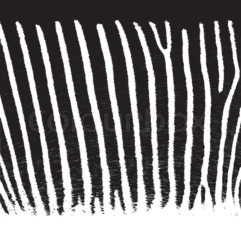 Pattern Zebra Fur, Vector Background, Stock Vector Colourbox 800x800 Pattern Zebra Fur, Vector Background, Stock Vector Colourbox