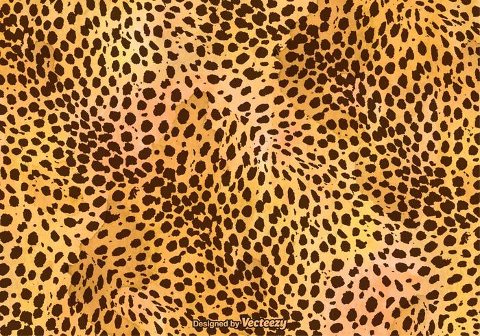 Vector Leopard Print Background 700x490 Vector Leopard Print Background
