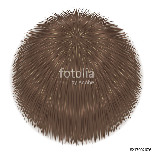 Vector Fur Sphere Stock Image And Royalty Free Vector 500x500 Vector Fur Sphere Stock Image And Royalty Free Vector