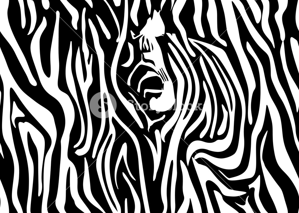 Vector Zebra Seamless Pattern Black And White Beautiful Texture 1000x714 Vector Zebra Seamless Pattern Black And White Beautiful Texture