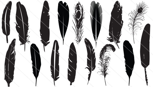 Feather Vector Png Images In Collection 610x350 Feather Vector Png Images In Collection