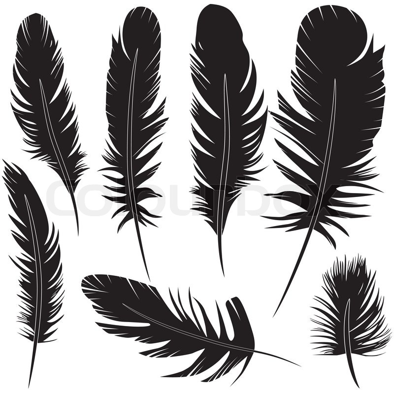 Feather Of Bird Set Vector Stock Vector Colourbox 800x800 Feather Of Bird Set Vector Stock Vector Colourbox