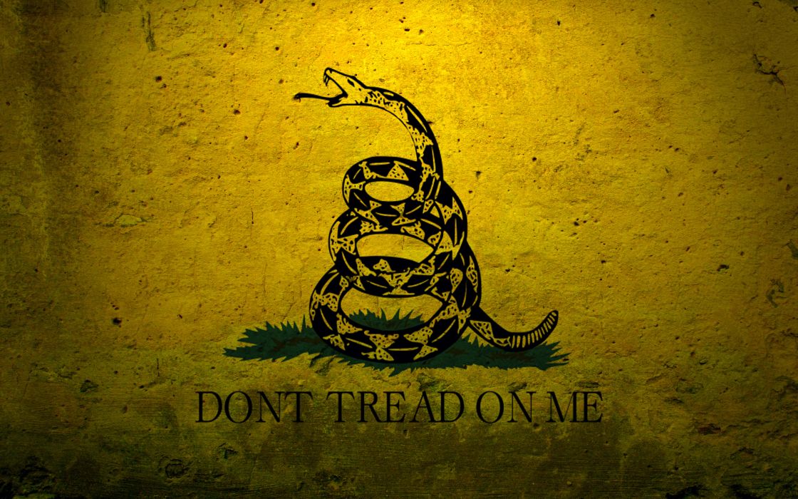 1120x700 Military Flags Usa Navy Concrete Dont Tread On Me Gadsden Flag