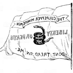 300x300 Vector Map Usa Rattlesnake Gadsden Flag Createmepink