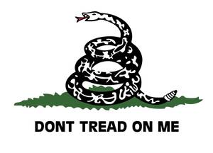 300x216 Contest To Re Design The Gadsden Flag!!!