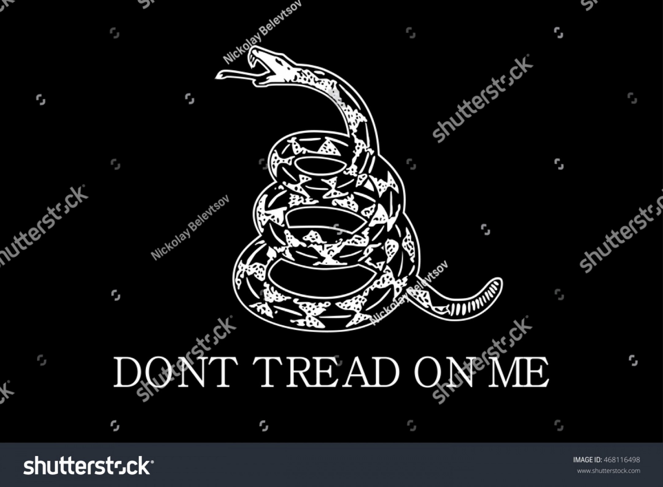 2160x1585 Rattlesnake Vector Designs Createmepink