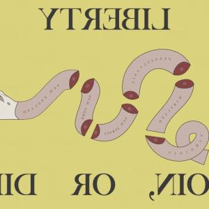 300x300 Vector Background Picture Rattlesnake Gadsden Flag Createmepink