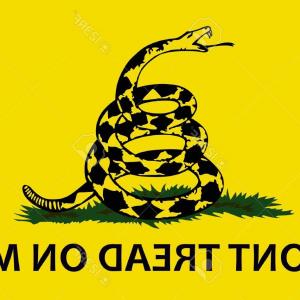 300x300 Vector Background Picture Rattlesnake Gadsden Flag Geekchicpro