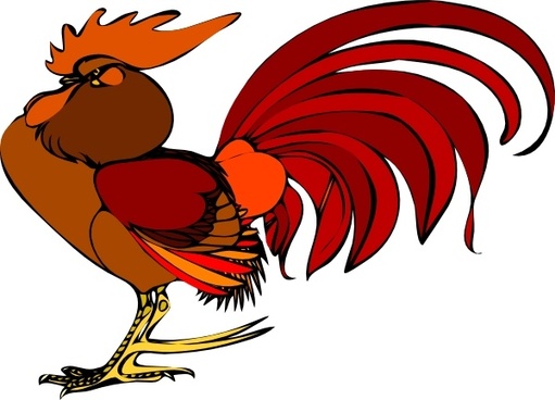 511x368 Gallo Vector Free Vector Download