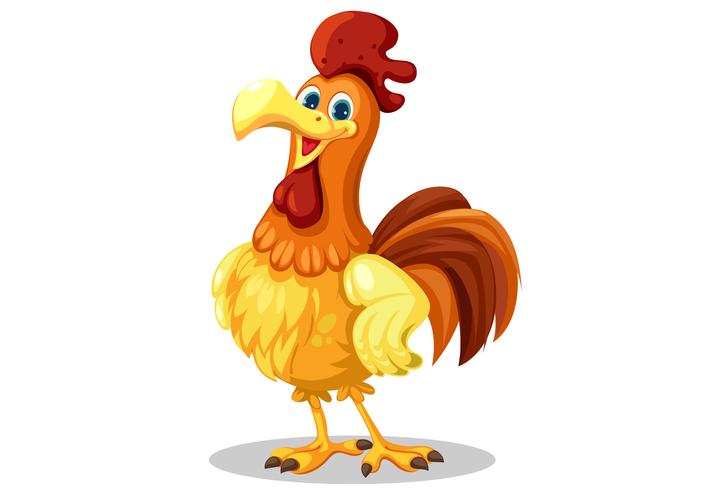 722x490 De Vector De Gallo
