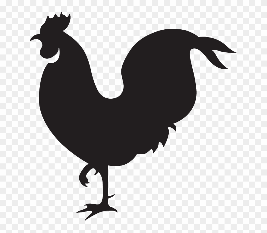 880x770 Kidsline Clothesline Range