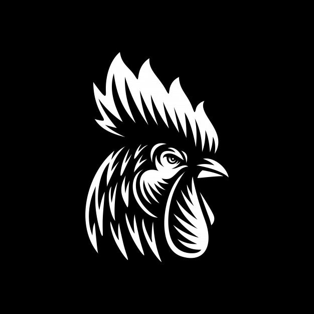 626x626 Rooster Head Vector Illustration On Dark Background Vector