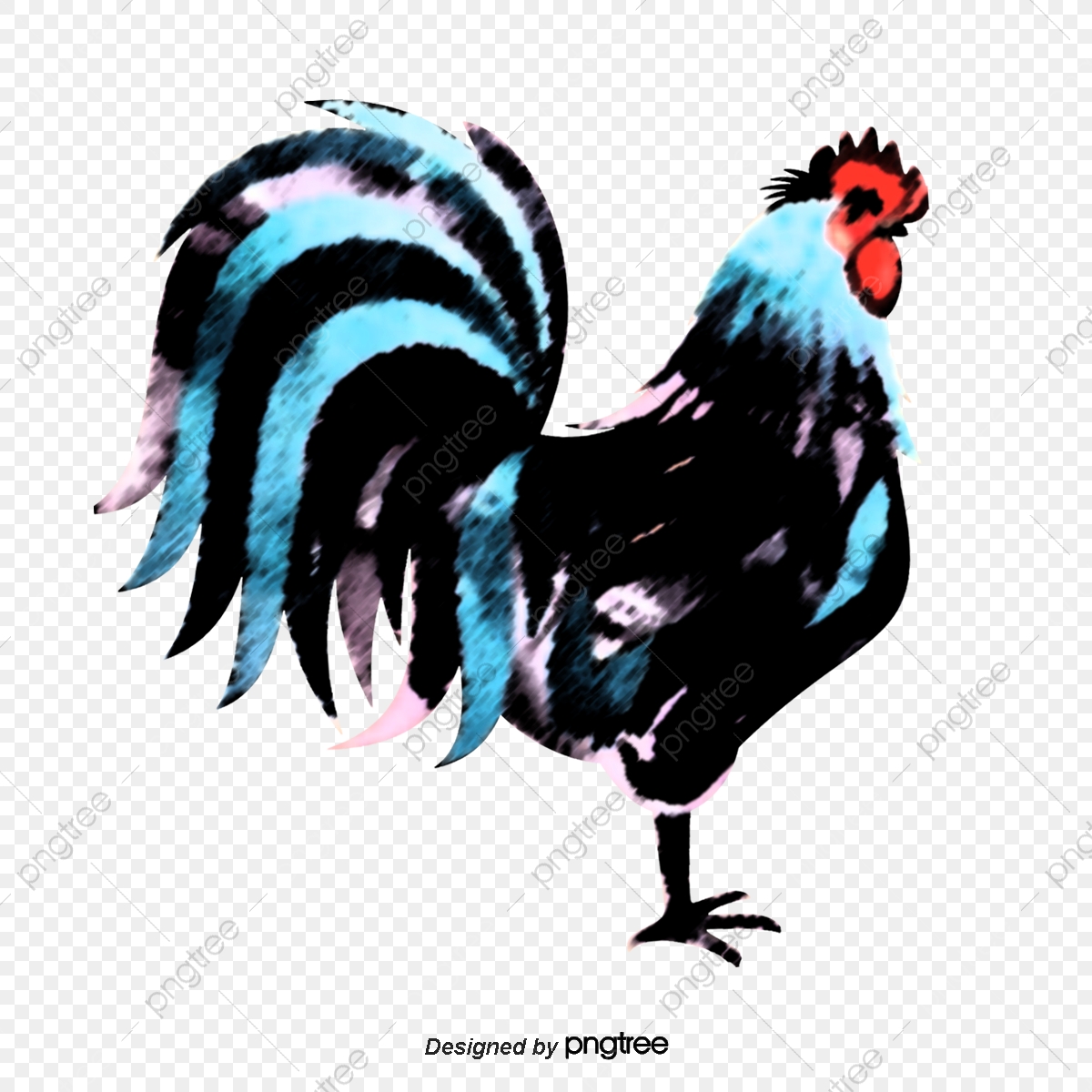 1200x1200 Vector Pinto Gallo, Vector, Pintado A Mano, Big Cock Png Y Vector