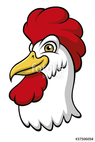 335x500 Testa Di Gallo Stock Image And Royalty Free Vector
