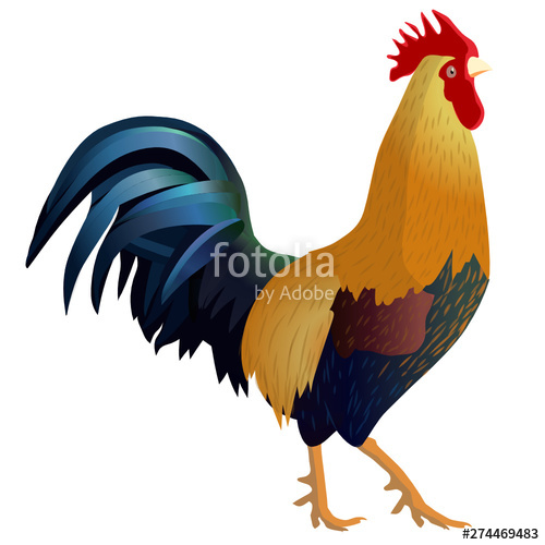 500x500 Gallo Stock Image And Royalty Free Vector