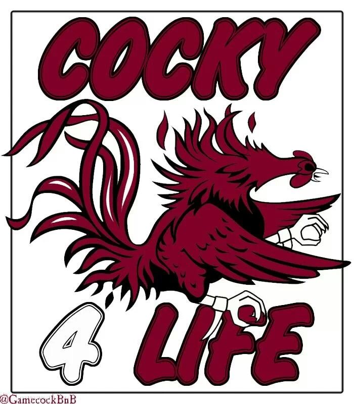 700x800 Gamecocks Logos