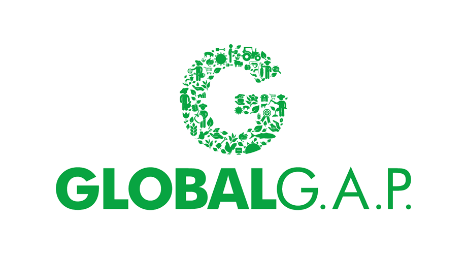 920x500 Global Gap Logo Vector