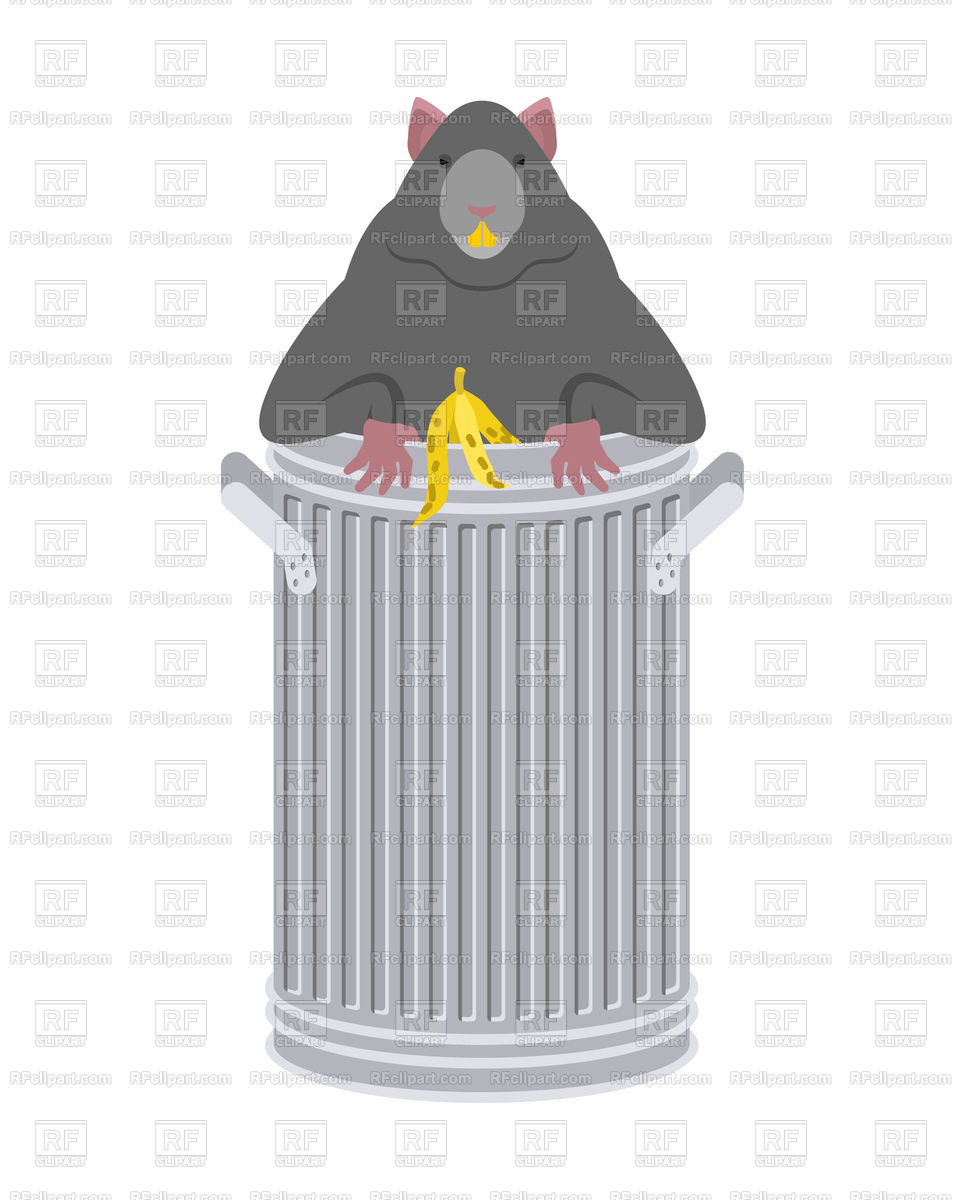Rat In Garbage Can Vector Image Of Plants And Animals Maryvalery 965x1200 Rat In Garbage Can Vector Image Of Plants And Animals Maryvalery