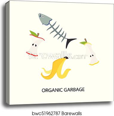 382x390 Organic Garbage Vector, Canvas Print Barewalls Posters Prints