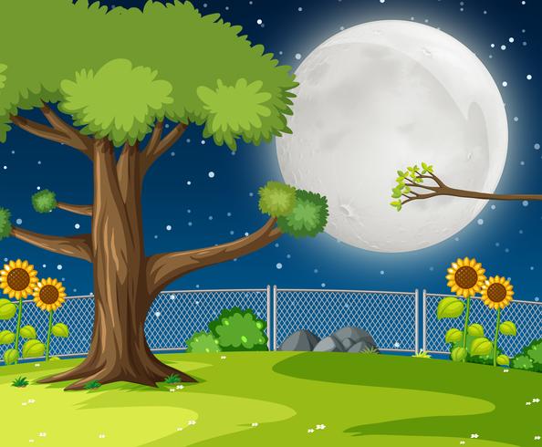 A Night Garden Background 594x490 A Night Garden Background