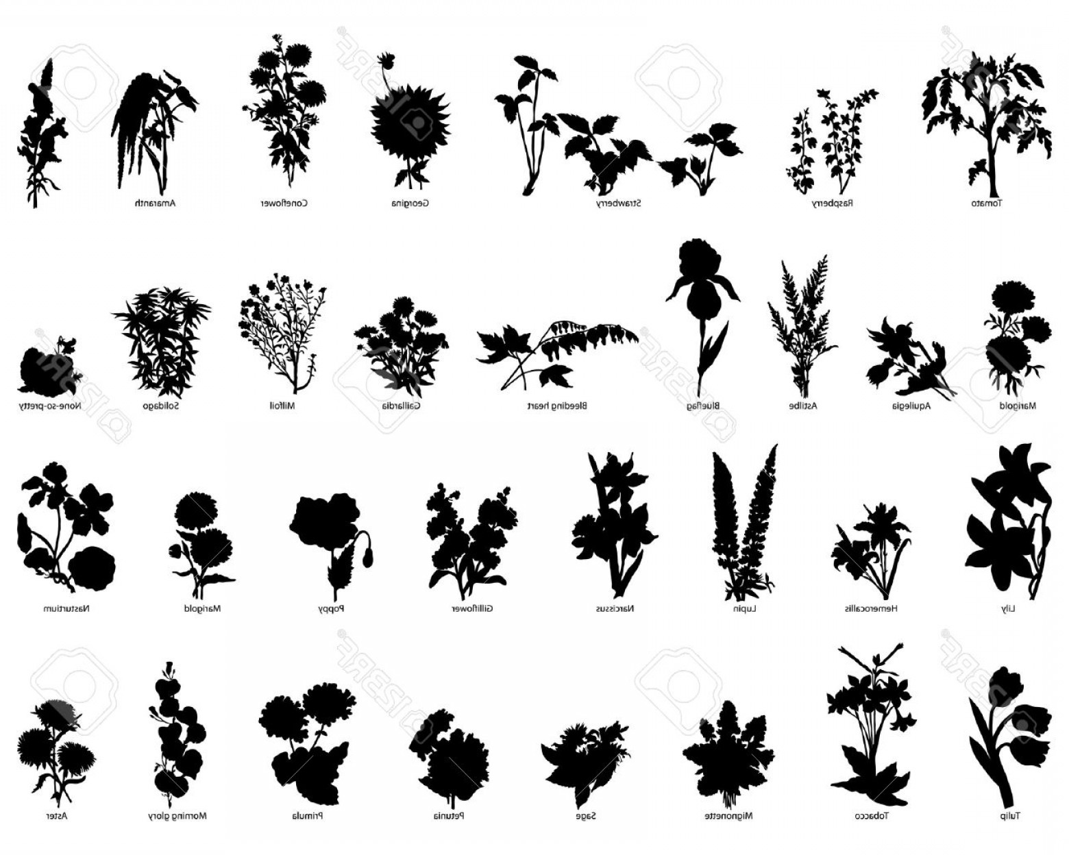 1560x1248 Garden Silhouette Vector Handandbeak