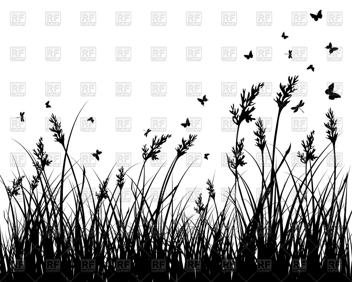 1200x960 Wild Field Grass Silhouette Vector Image Of Plants And Animals