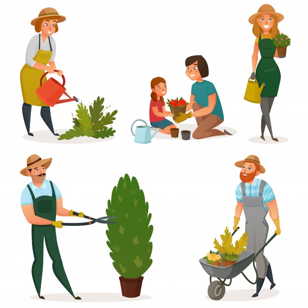 626x626 Gardening Tools Vectors, Photos And Free Download