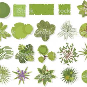 300x300 Stock Images Garden Design Icons Image Hoodamathrun