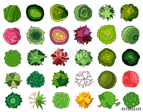 500x393 Trees Top View Different Icon Of Plants And Trees