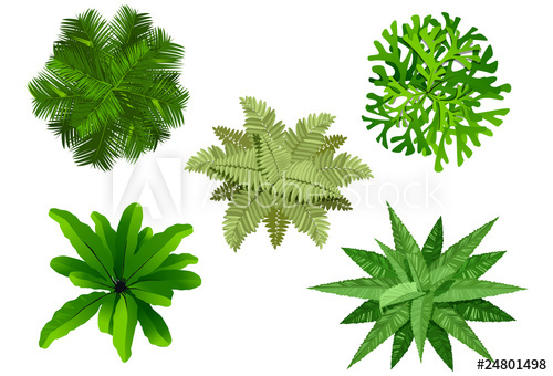 500x340 Plan Garden, Tree Top View