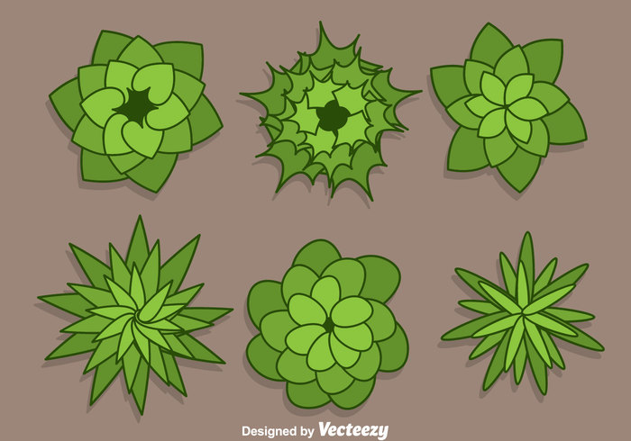 700x490 Flower Top View Vector
