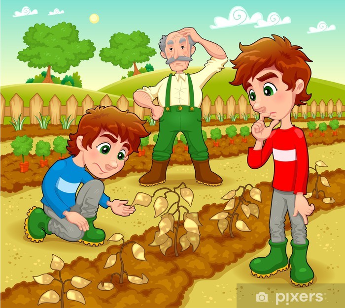 700x626 Funny Scene In The Vegetable Garden Vector Illustration Wall