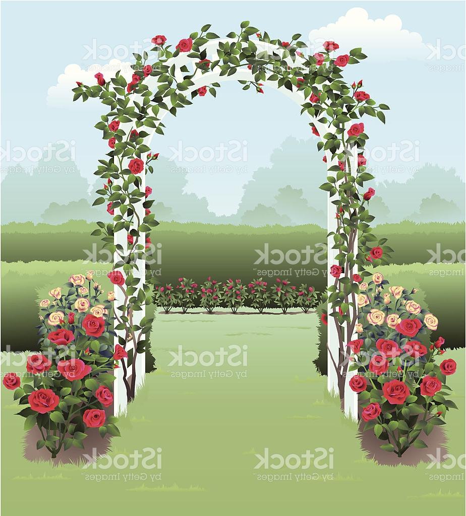 924x1024 Hd Vector Rose Garden Vector Design Free Vector Art, Images