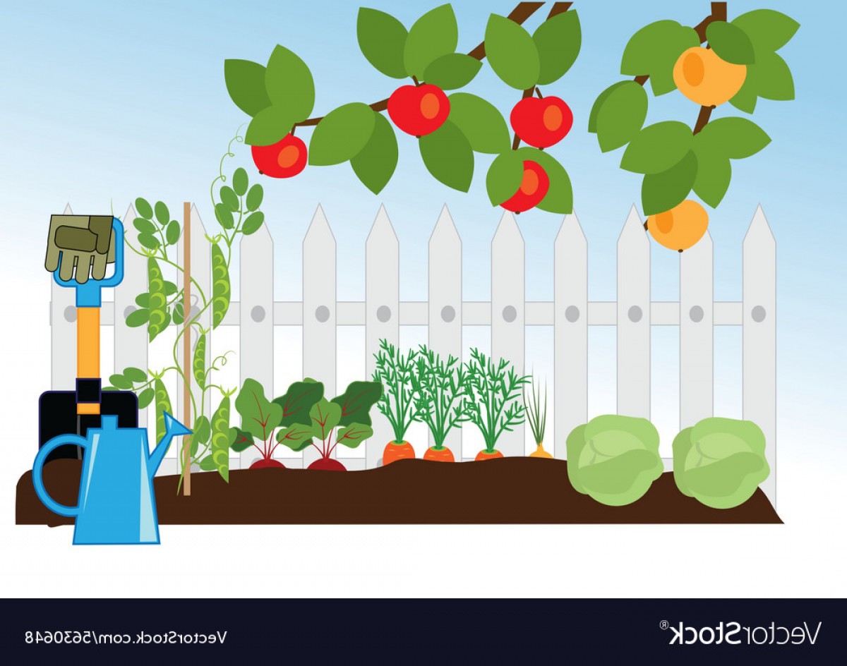 1200x944 Vegetabel Garden Vector Savoyuptown