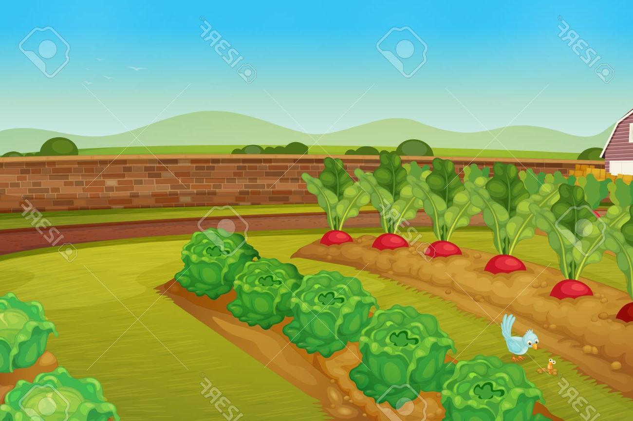 1300x865 Best Hd Cartoon Vegetable Garden Vector Library Free Vector Art