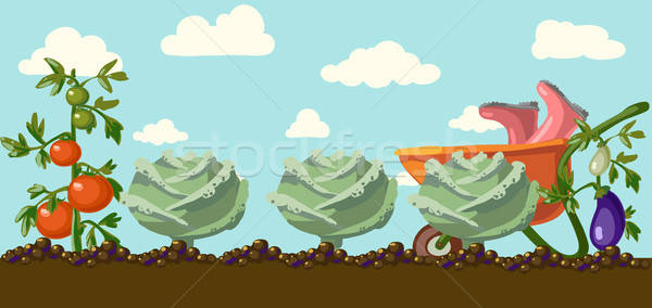 600x284 Garden Vector Vector Illustration Olga Berlet