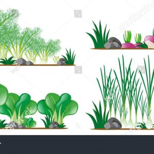 300x300 Ethnic Arab Paisley Seamless Pattern With Folk Vector Hoodamathrun