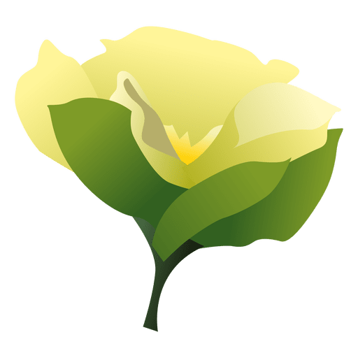 512x512 Gardenia Flower Cartoon